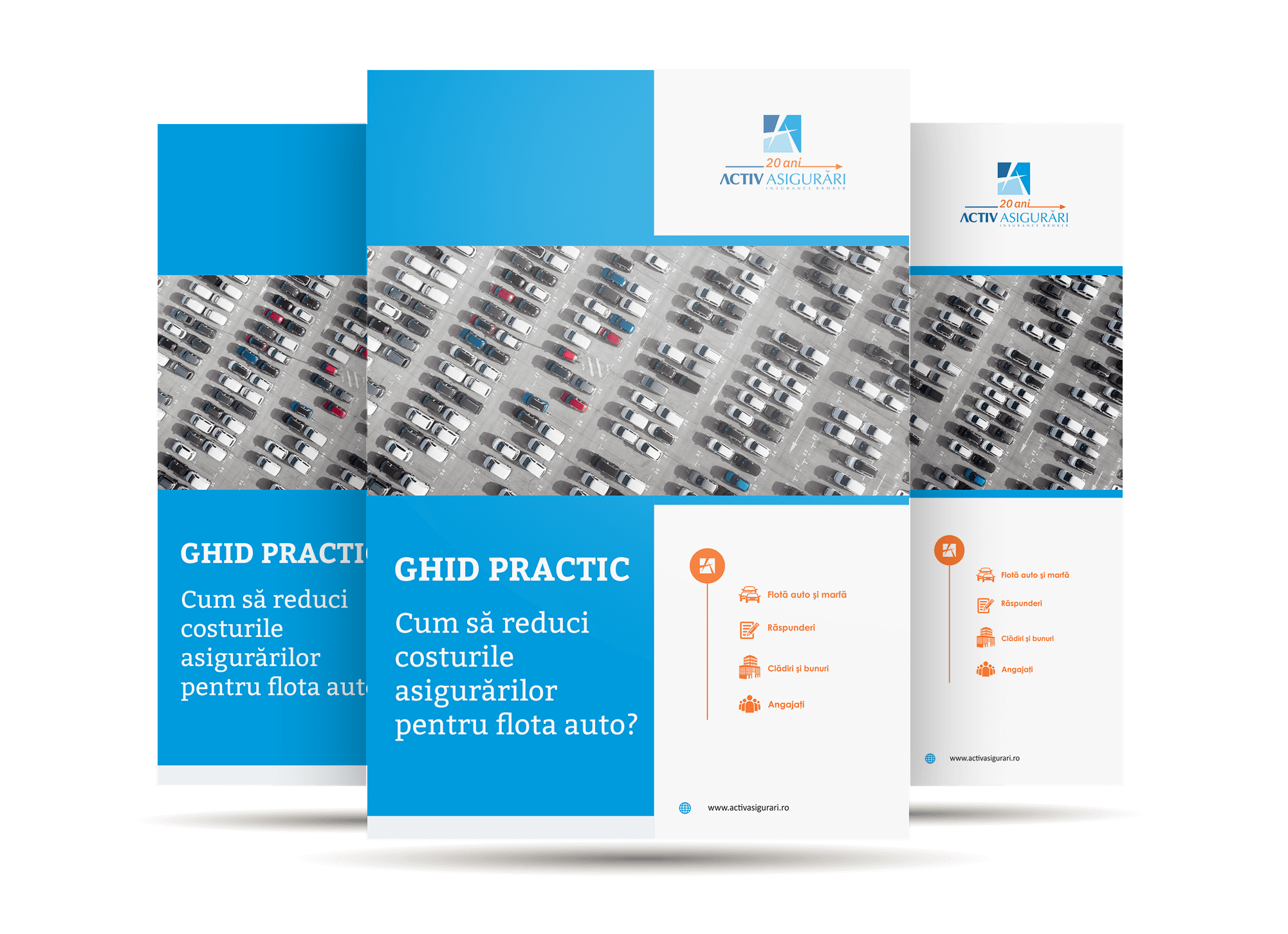 ghid practic as